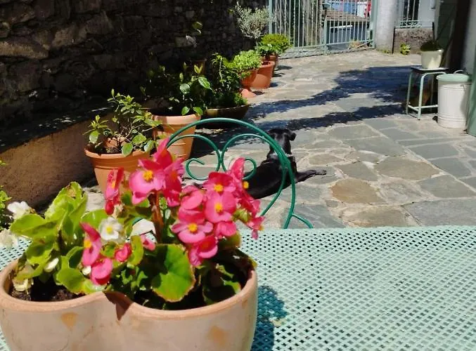 فندق مبيت وإفطار Il Poggiolo